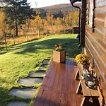 Charming Log In Joldalen * Rennebu
